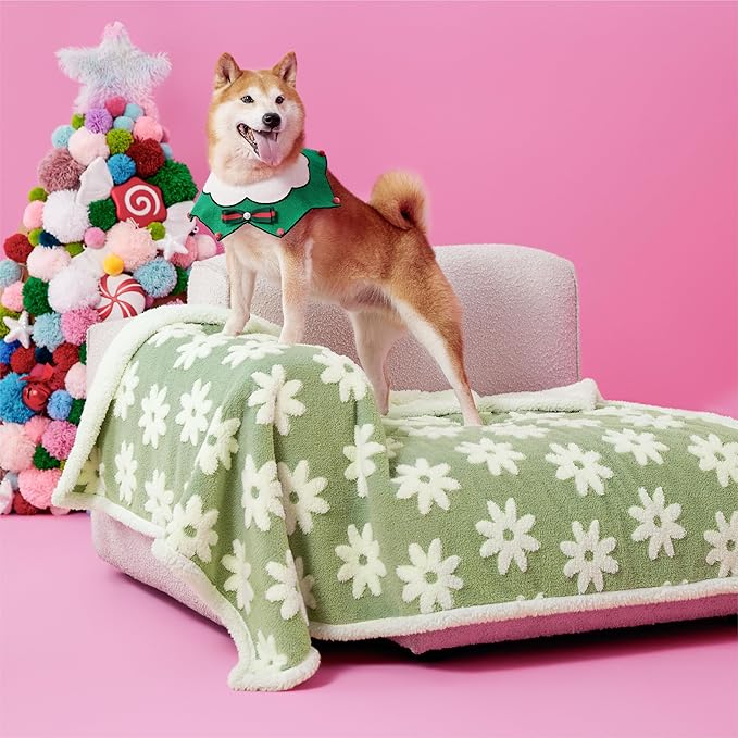 LE SURE Waterproof Dog Blanket for Large Dogs - Washable Double Sided Dog Blankets with Warm Jacquard Shag and Soft Sherpa Fleece, Pet Cat Blanket for Couch Protection, 3D Textured Cloud, Green