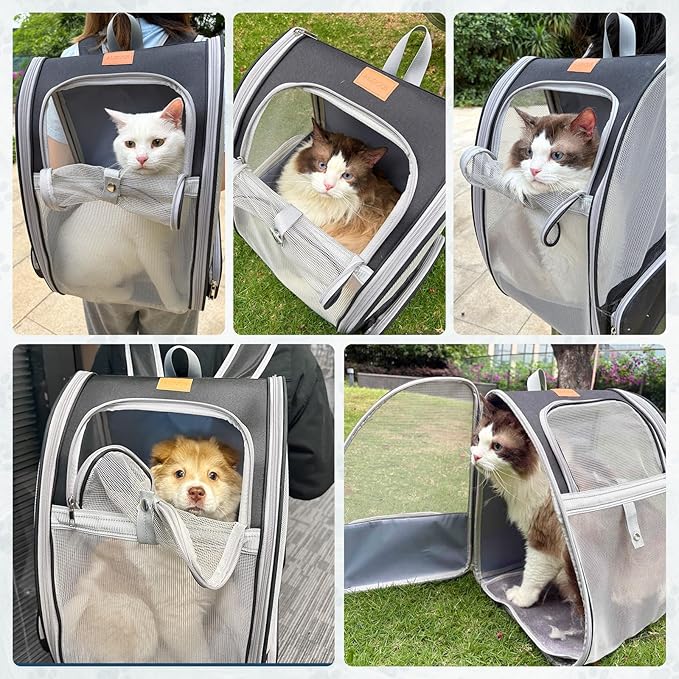 Cat Backpack Carrier, Pet Backpack Carrier Cats and Small Dogs, Collapsible Fully Ventilation Cat Backpack for Outdoors Hiking Camping Travel(up to 16.5lbs)