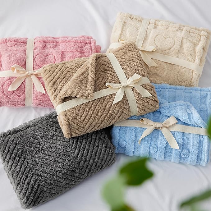 Bedsure Dog Blankets for Small Dogs Washable - Fluffy Fuzzy Cat Puppy Blanket with Premium 300GSM Coral Fleece Soft for Pet Kitten Doggy, White, 25x35IN