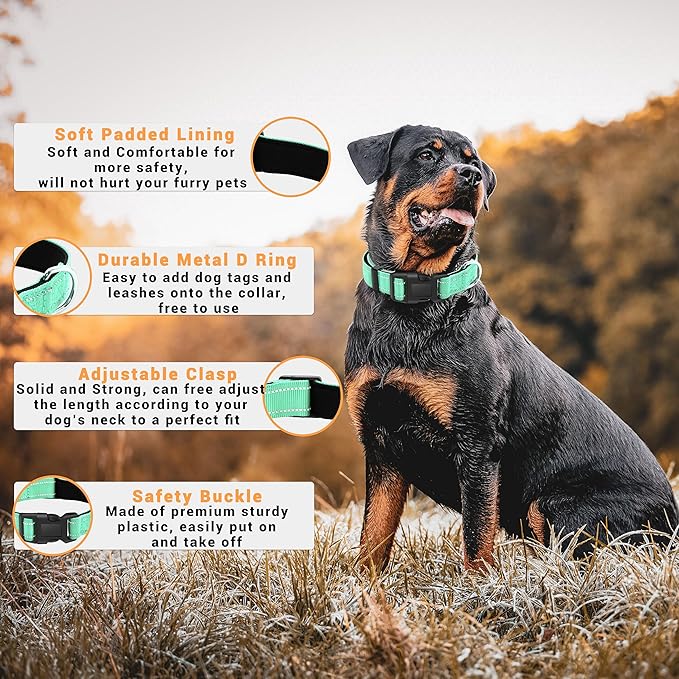 2 Pack Reflective Dog Collar with Safety Locking Buckle, Adjustable Soft Breathable Comfortable Nylon Pet Collar for Small, Medium and Large Dogs, Turquoise, XL