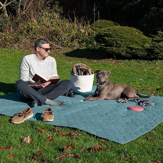 Furhaven Waterproof & Non-Slip Twin Size Mattress Cover Protector for Dogs & Cats, Washable, For Beds, Couches, & Car Seats - Quilted Twill Blanket Mattress Cover - Nile Blue, Small/Twin Size