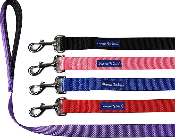 Downtown Pet Supply 6ft Heavy-Duty Dog Leash - Padded Comfort Handle & Stainless Steel Fastener - 0.75in Wide Blue Leash