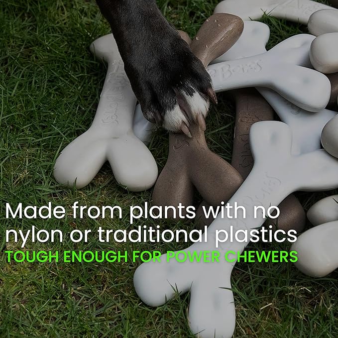 2-Pack Non-Toxic Dog Toys - Sustainable Beef Flavored Dog Chew Toys for Aggressive Chewers - Plant-Based Bioplastic Pet Toys - Made in The USA (Mini)