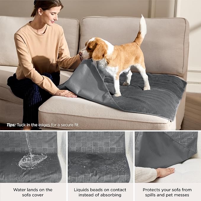 Bedsure Waterproof Couch Cover for Dogs Washable - Waterproof Blanket for Large Dogs Couch Sofa Cozy, Lightweight Furniture Protector for Pet Cat Quick Drying Puppy, Ash Grey, 40x50IN